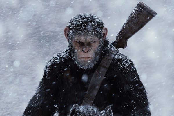 Planet of the Apes Best English Movies on Hotstar