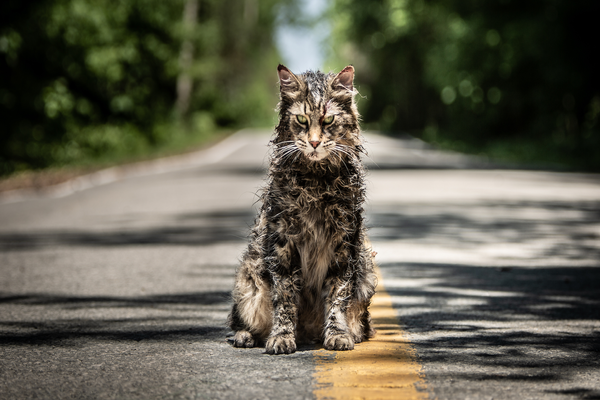 Pet Sematary Movie