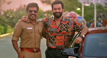 Driving License Review: A Complete Fun Ride!