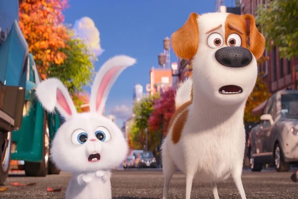 The Secret Life of Pets Best English Comedy Movies on Netflix India