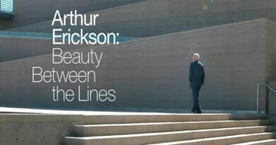 Beauty Between the Lines Documentary Review