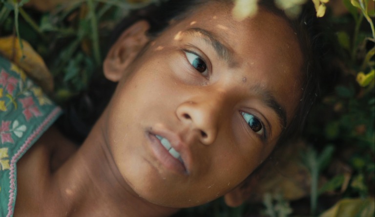 Humans in the Loop Review 2025