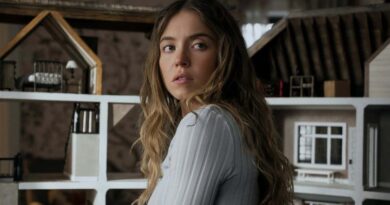 The Housemaid 2025 Review India